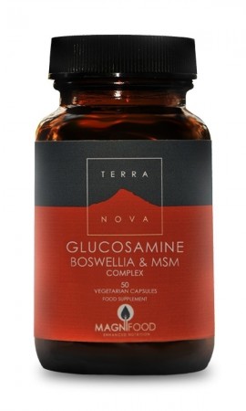 TERRANOVA Glucosamine, Boswellia & ΜSM Complex - Joint Support 50caps