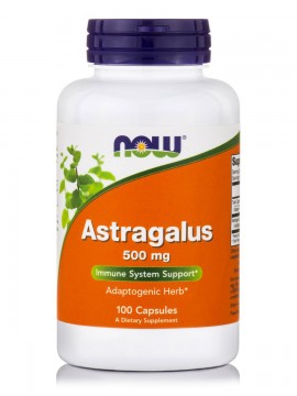 Now Astragalus 500 mg 100caps