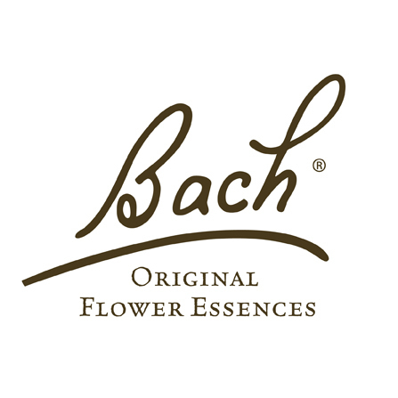 Dr.Bach