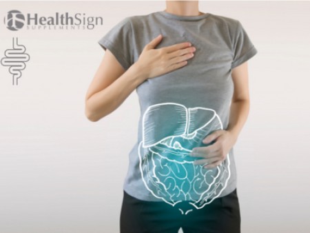 Το πεπτικό μας σύστημα