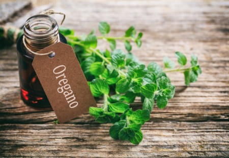 Το ριγανέλαιο και τα οφέλη του ως συστατικό που οδηγεί σε απώλεια βάρους